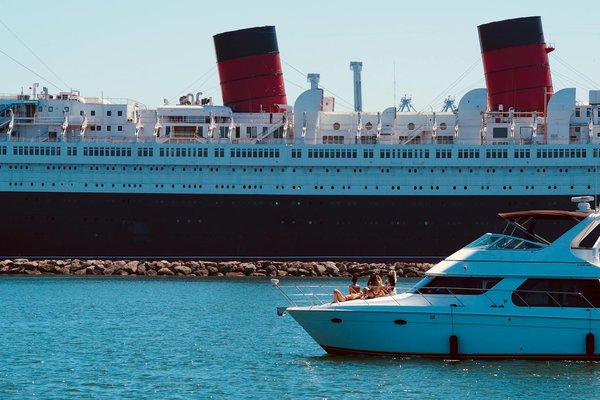 Quels sont les meilleurs spots pour observer les dauphins en Nouvelle-Zélande ?